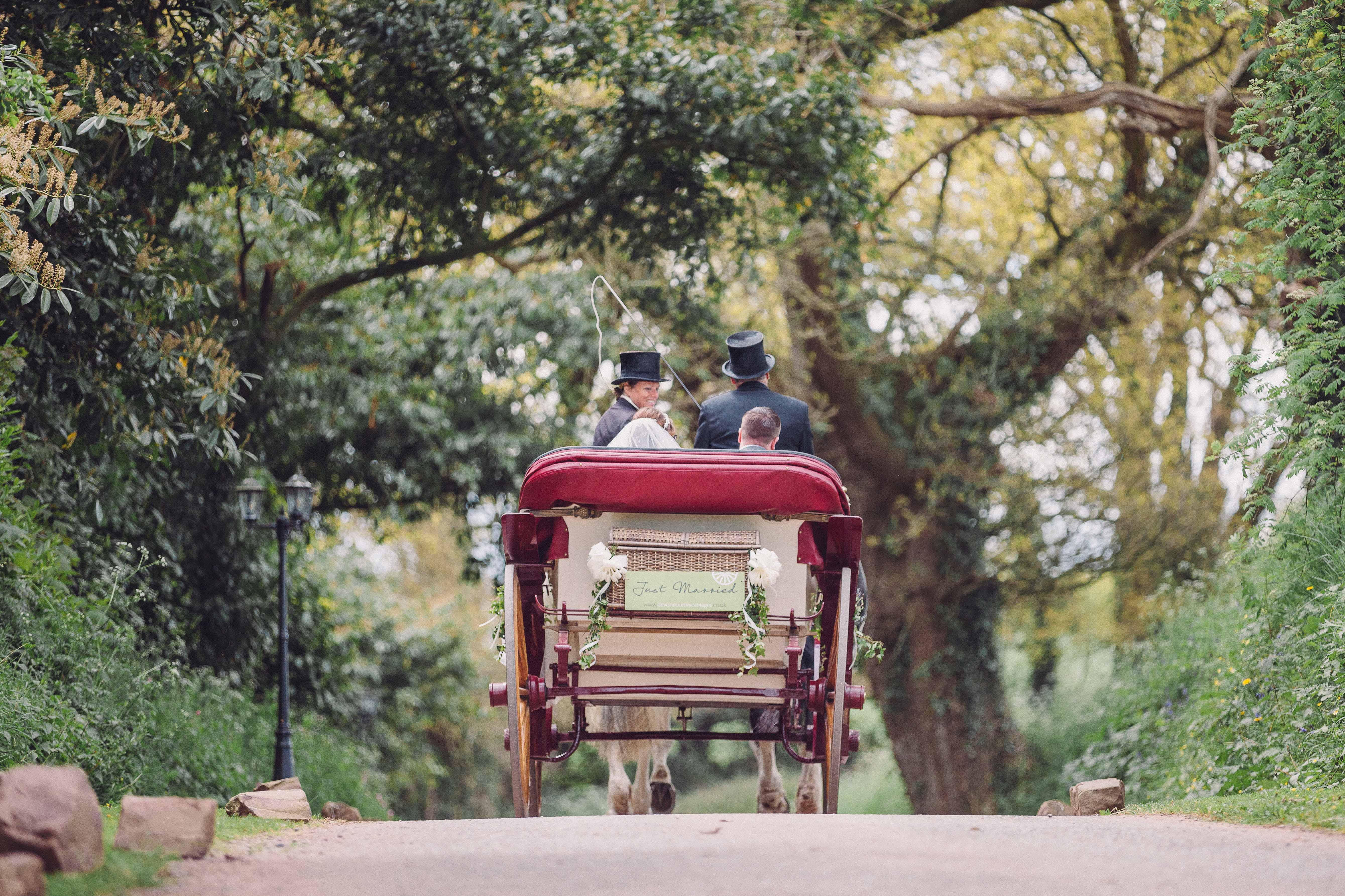 Horse and carriage departing
