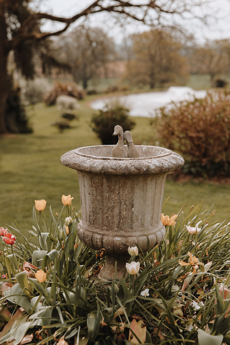 The Lake | Ivy House Photography