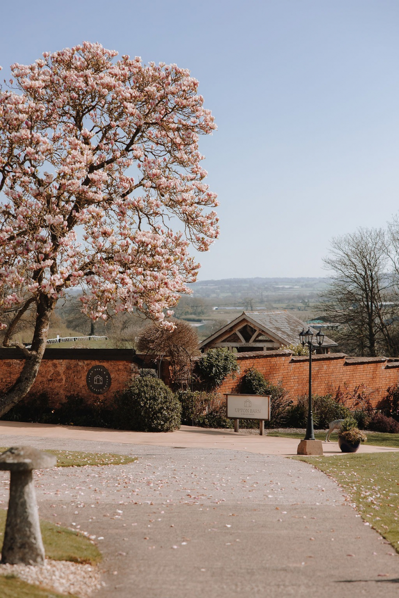 Ivy House Photography